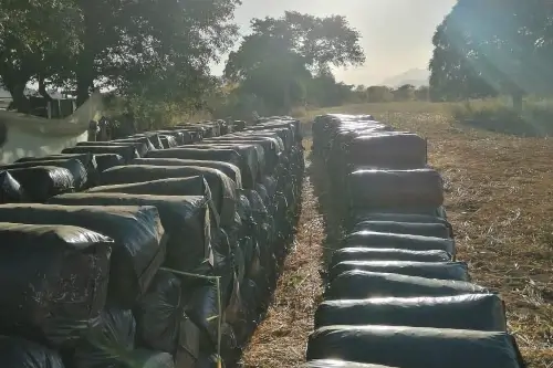 Bolsas para Ensilaje